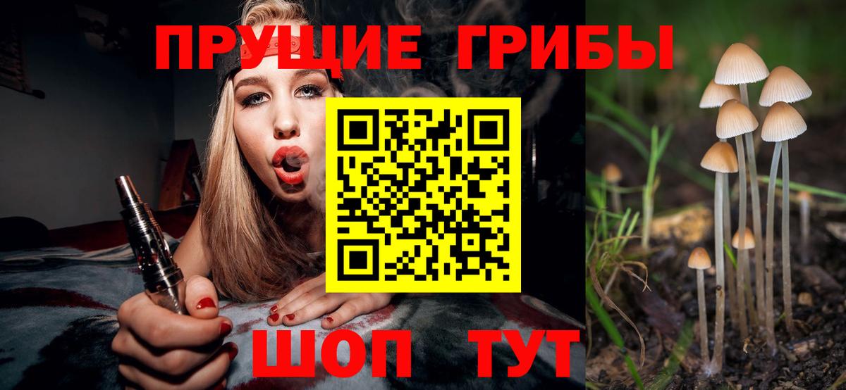 Вичуга  Псилоцибиновые грибы Psilocybine cubensis  Псилоцибиновые грибы ЛСД  Вход с VPN 