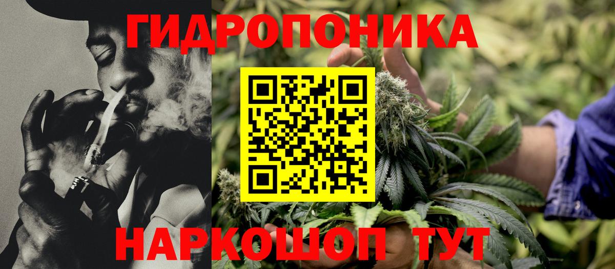 Вичуга  Бошки Шишки тримм  Бошки Шишки LSD WEED  Вход с VPN  Бошки Шишки THC 21%  Бошки марихуана ГИДРОПОН 